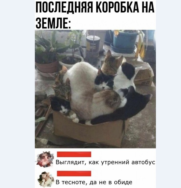 Картинки и мемы для настроения 009