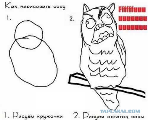 Фотожаба:Нельзя просто так взять и нарисовать СОВУ