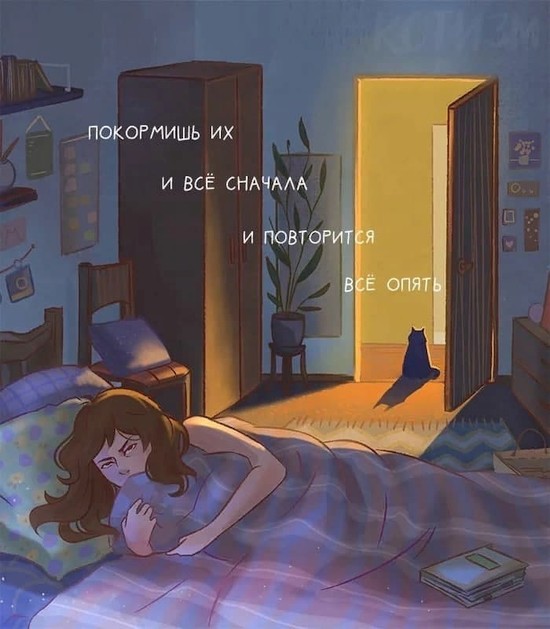 Бредзона и не только