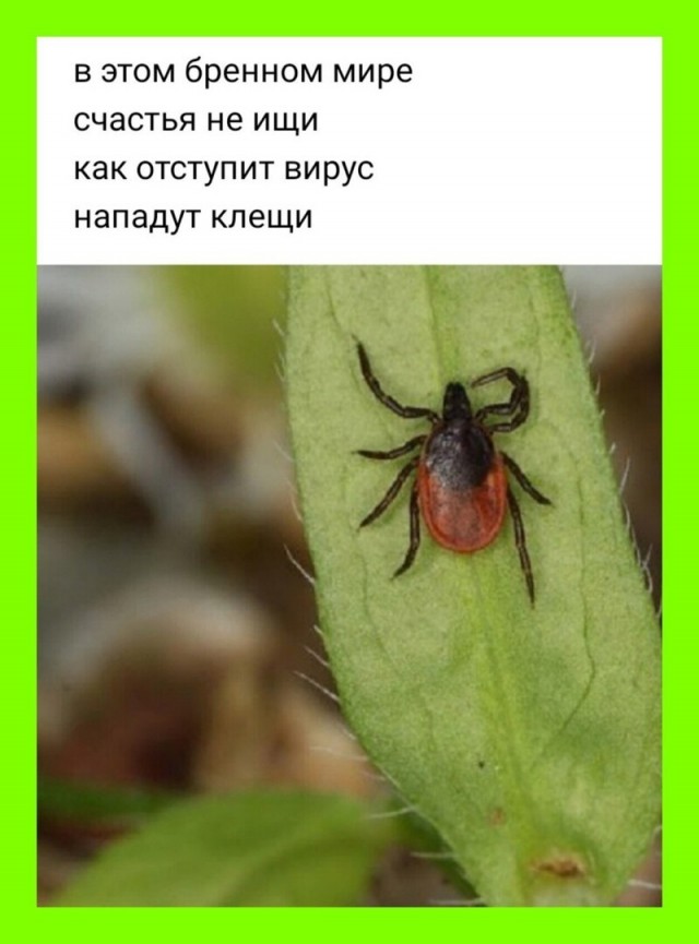 Баянисто-небаянистый юмор. 28.04.21