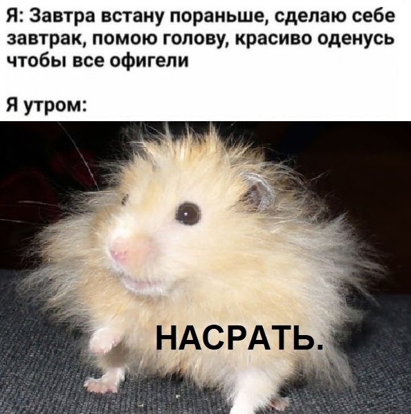 Картинки на вчера