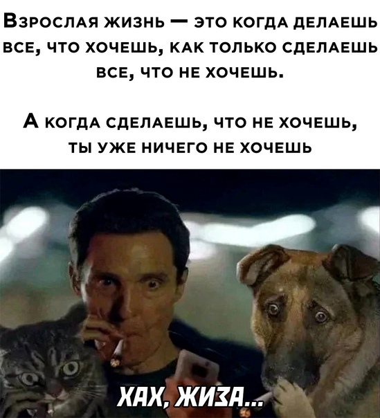 Картинки и мемы для настроения 029