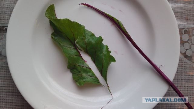 ЧудУ (лепешки) с разной начинкой