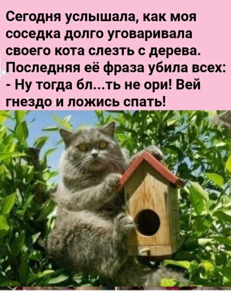 Картинки и мемы для настроения 26.08.2021