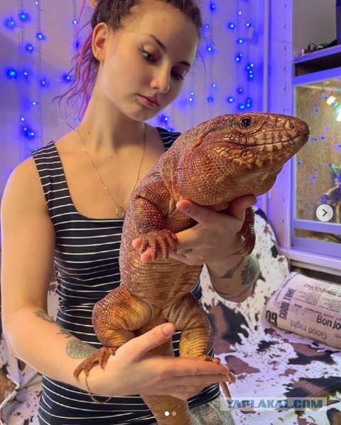 Успокаивает