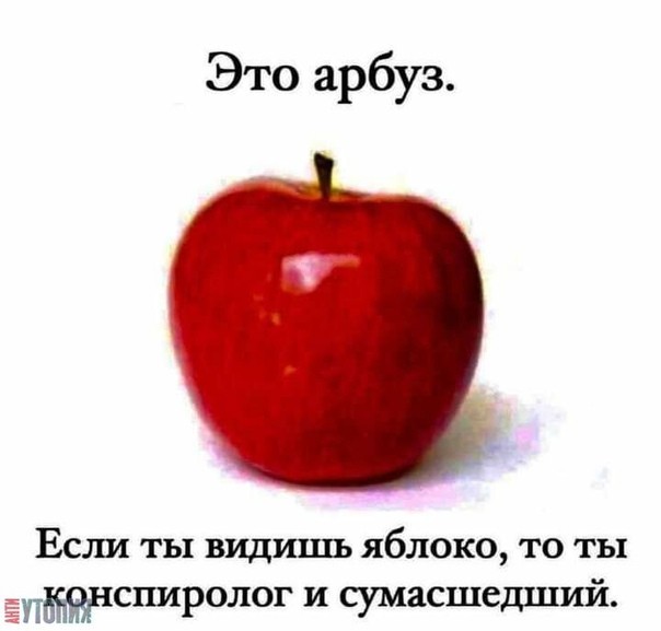 Сотрудникам агентства РИА «Новости» запретили называть «Талибан» запрещённой организацией
