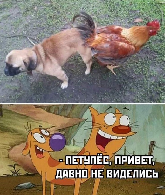 Разные картинки для настроения на любой вкус - 3