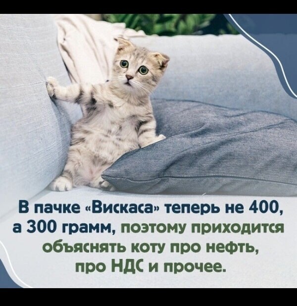 Фигня приходит в полночь, дорогие деграданты