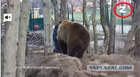Телеканал "Рен-ТВ" поменял логотип