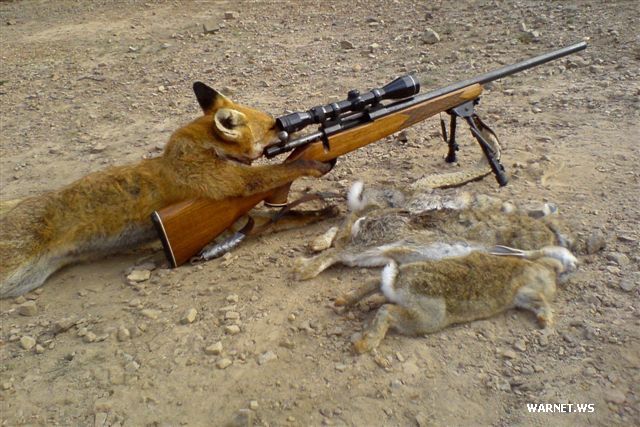 Чтоб не грустилось!
