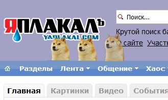Как поймать собаку