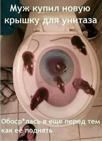 Так себе картинки 29.03.22