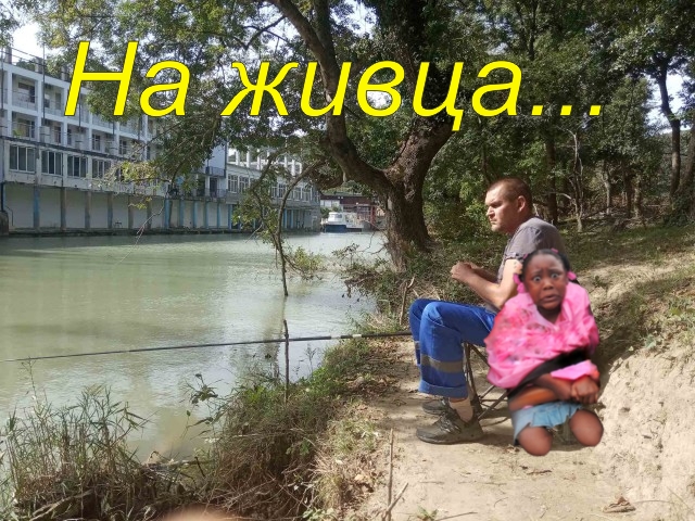 Фотожаба: Негритянка на горках