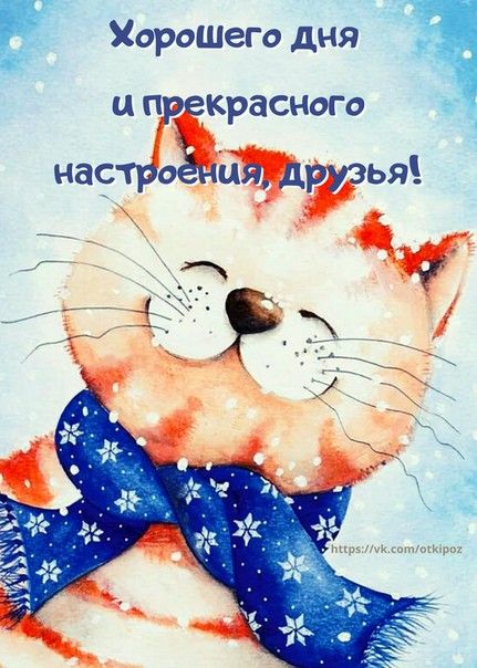 Прикольные и просто красивые картинки 24.01.2023