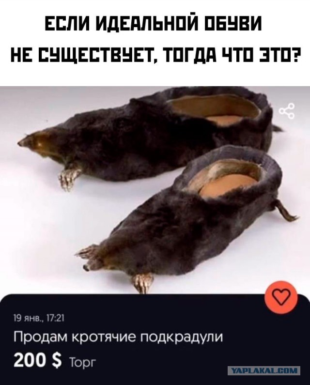 Так себе картинки 25.01.2023