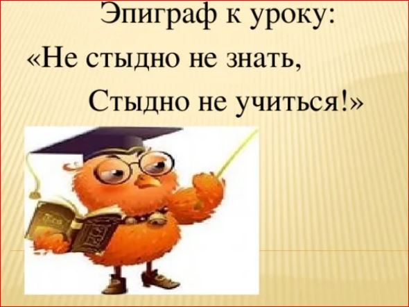 Победная поступь идиотизма по планете – том 17