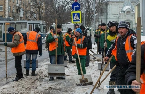 Японцы ничего не понимают