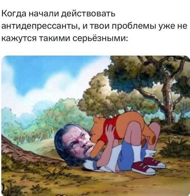 Весёлый полтишок 12.07 23