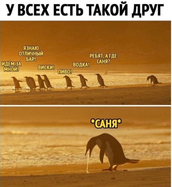 Так себе картинки 04.12.23