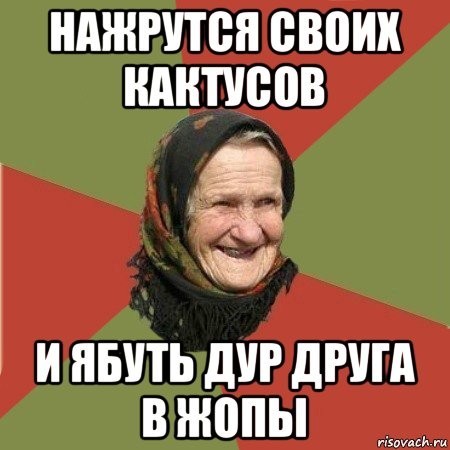 "Сделали из меня Пабло Эскобара": мужчину осудили на 3 года за увлечение кактусами