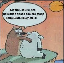 Госдума окончательно отказала многодетным отцам в отсрочке от мобилизации