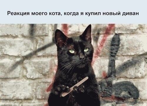 Он запомнит каждого, кто к этому причастен! Каждого!