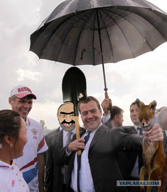 Стрелок
