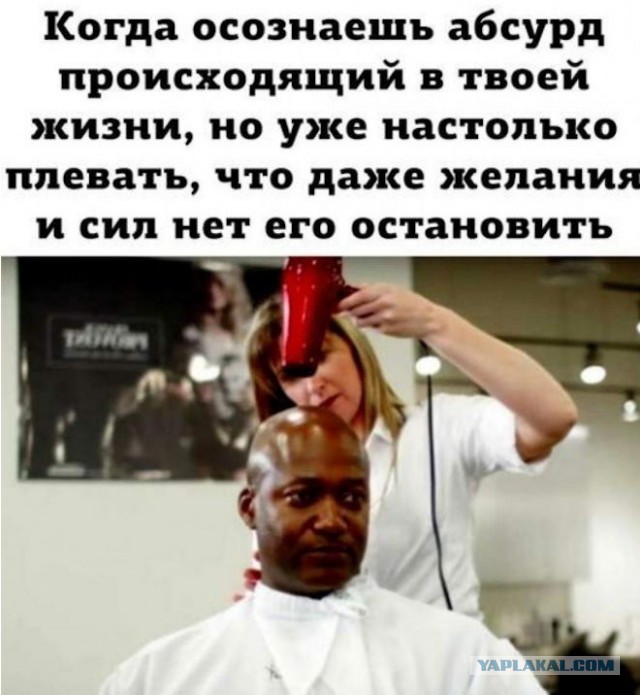 Веселые картинки в маленькую пятницу (15.10)
