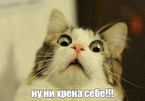 Прогноз погоды от СоПогИ*