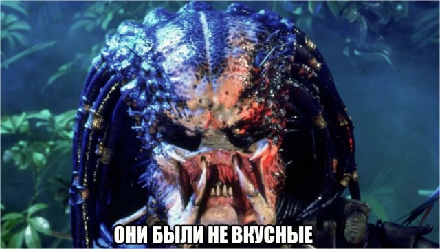 Деревня исчезла за одну ночь. Ангикуни — загадка, которую Канада не может объяснить уже больше 90 лет