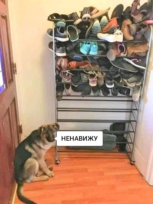 Немного картинок - продолжение 2