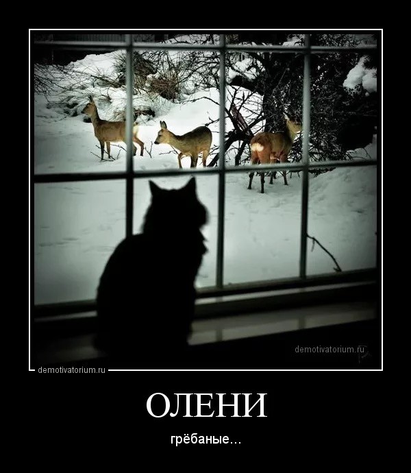 Копытные, с вами так же будет