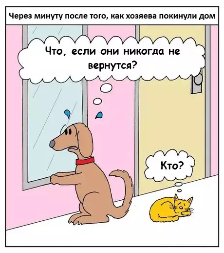 Картиночки, баянчики 19 февраля