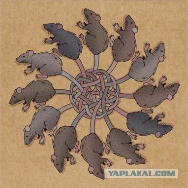 Заплетала косы