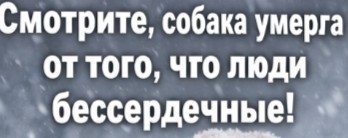 Вся суть зоо@изы⁠⁠