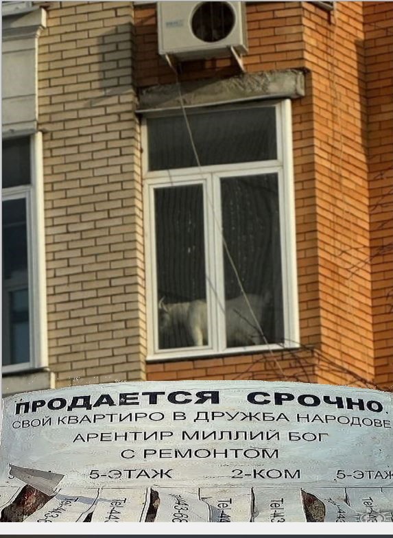 Так себе картинки 26.02.26