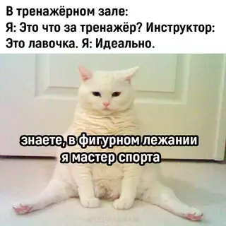 Картиночки, баянчики 02 марта