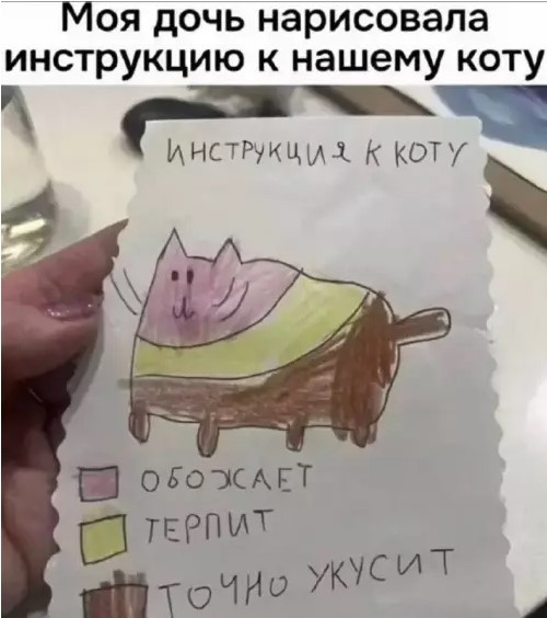 Так себе картинки 19.06.26