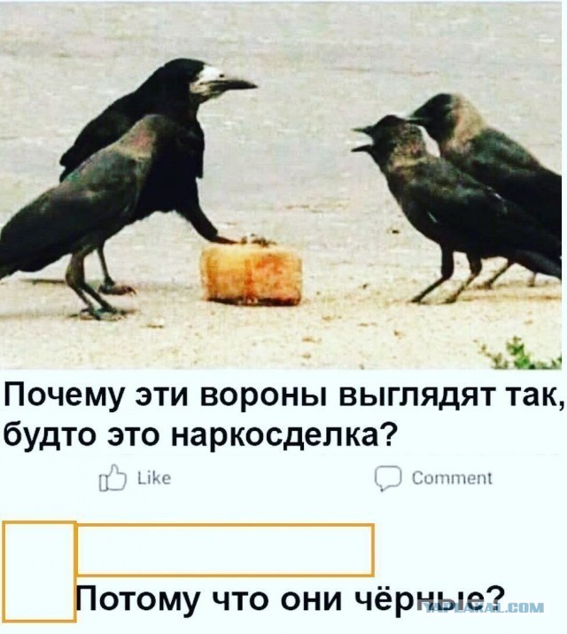 Так себе картинки 10.09.26