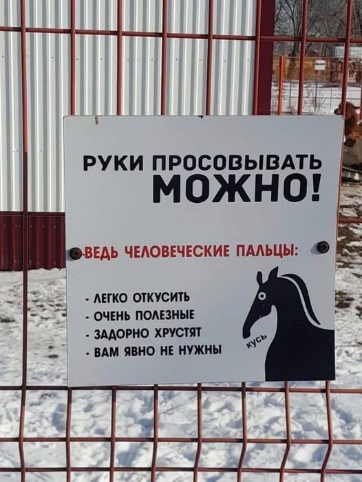 Чернушка на субботу