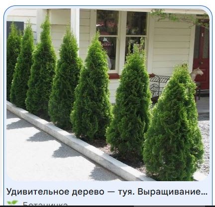 Беларус беларусу беларус