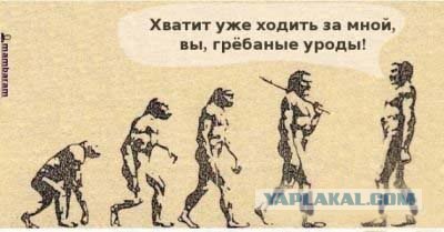 Эволюция.