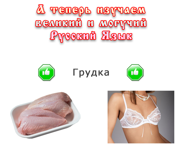 Изучаем русский язык