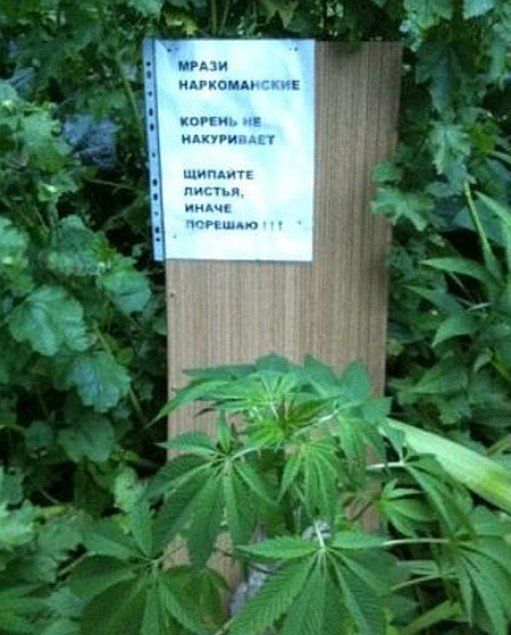 Подборка прикольных фото.