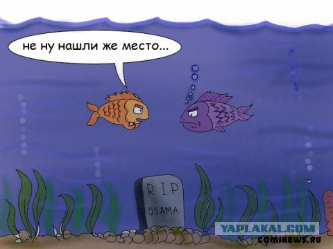 Последние новости в рисунках