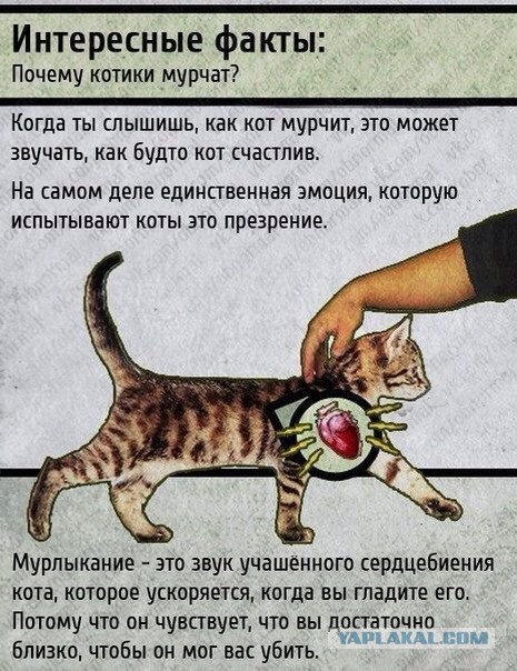 Чёрт, чёрт, чёрт!