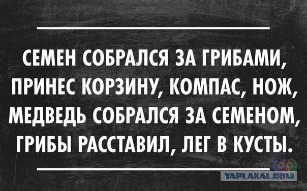 Грибная охота