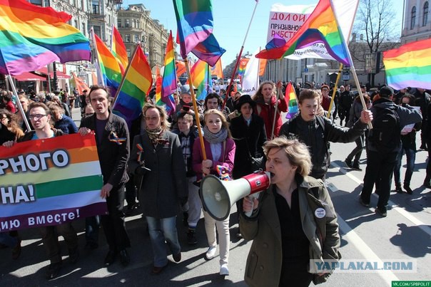 Овца с плакатами 404 в Питере