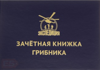 Осенний лес средней полосы