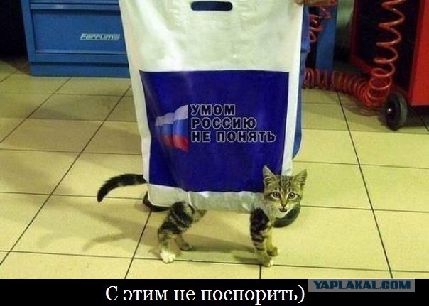 Смешные комменты из соцсетей